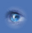 L'impact des nouvelles technologies Internet sur le management de la qualit�